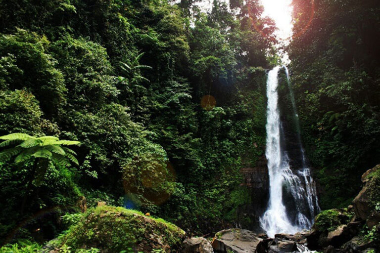 Gitgit Waterfall: 35-Meter Cascade in North Bali’s Highlands