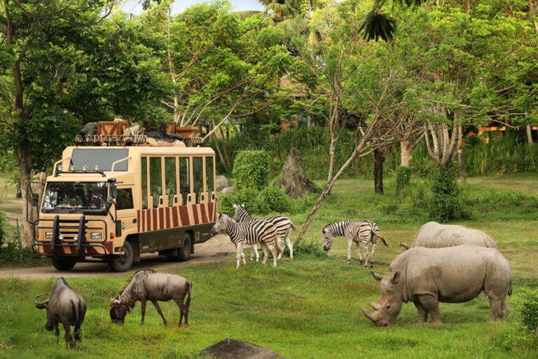 10 bali safari | www.balitouristic.com