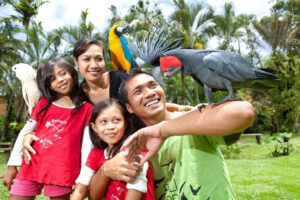 300 Bali Bird Park | www.balitouristic.com