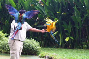 302 Bali Bird Park | www.balitouristic.com