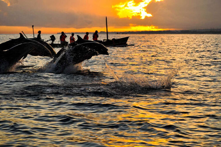 Bali Kids Activities: Complete Family-Friendly Guide