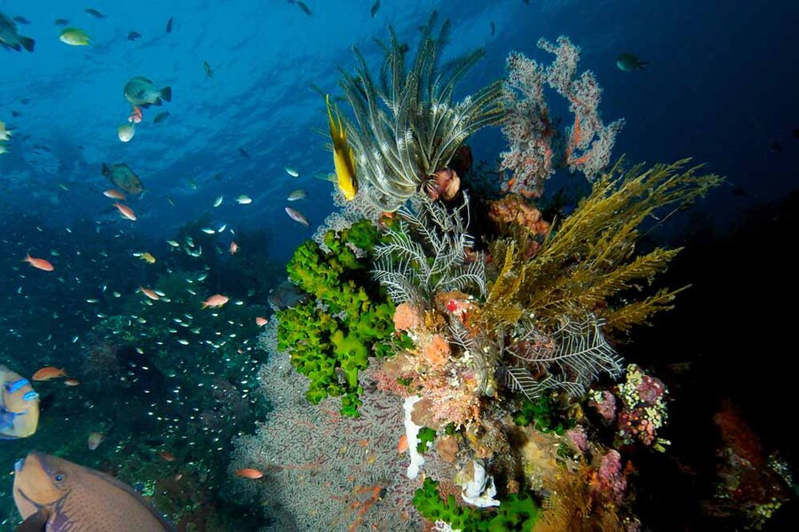 tulamben bali diving | www.balitouristic.com