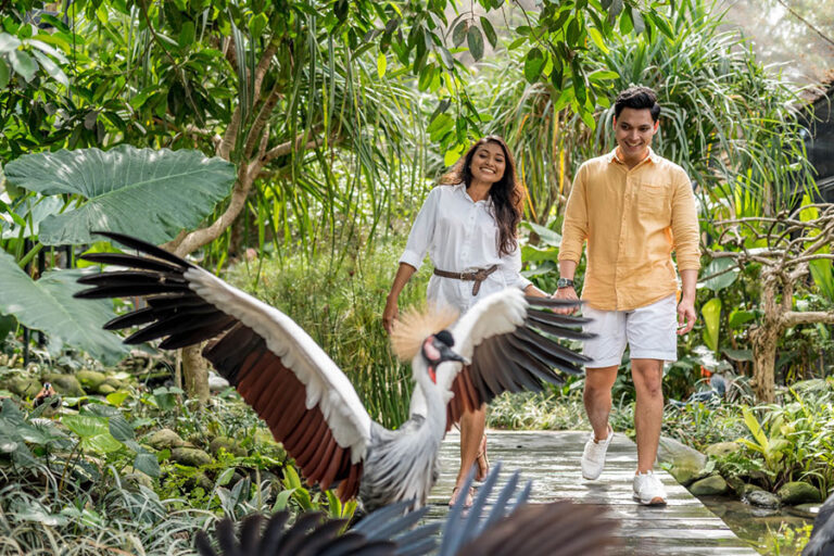 1 bali bird park | www.balitouristic.com