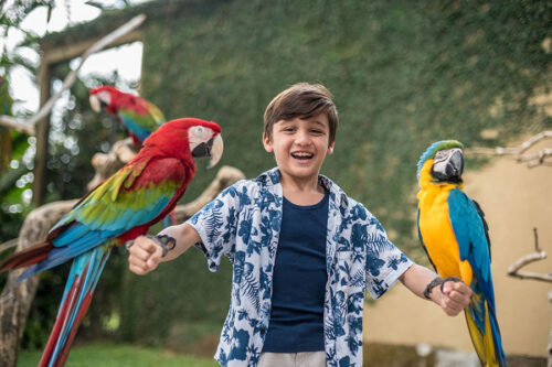 2 bali bird park | www.balitouristic.com
