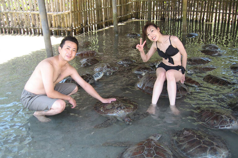 TCEC Bali: Sea Turtle Conservation & Eco-Tourism Guide