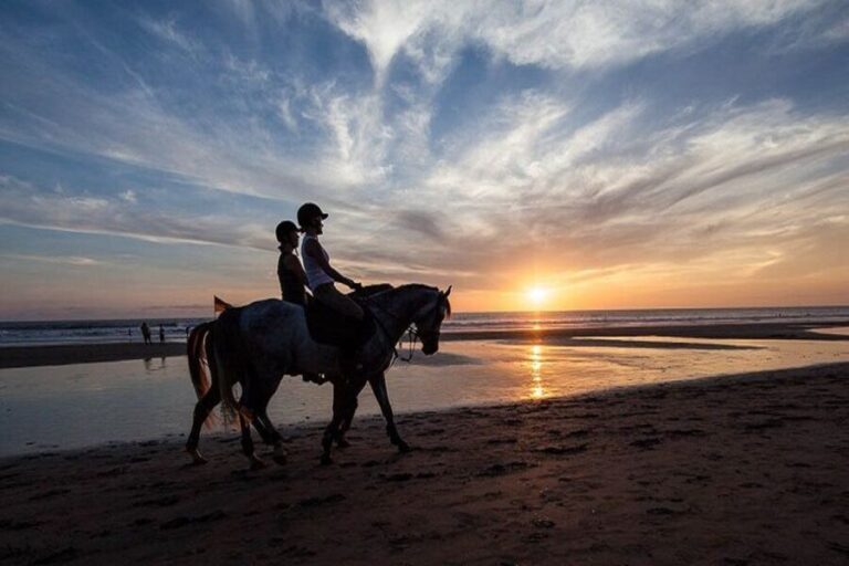 Horse Riding Bali: Beach & Rice Terrace Trail Tours