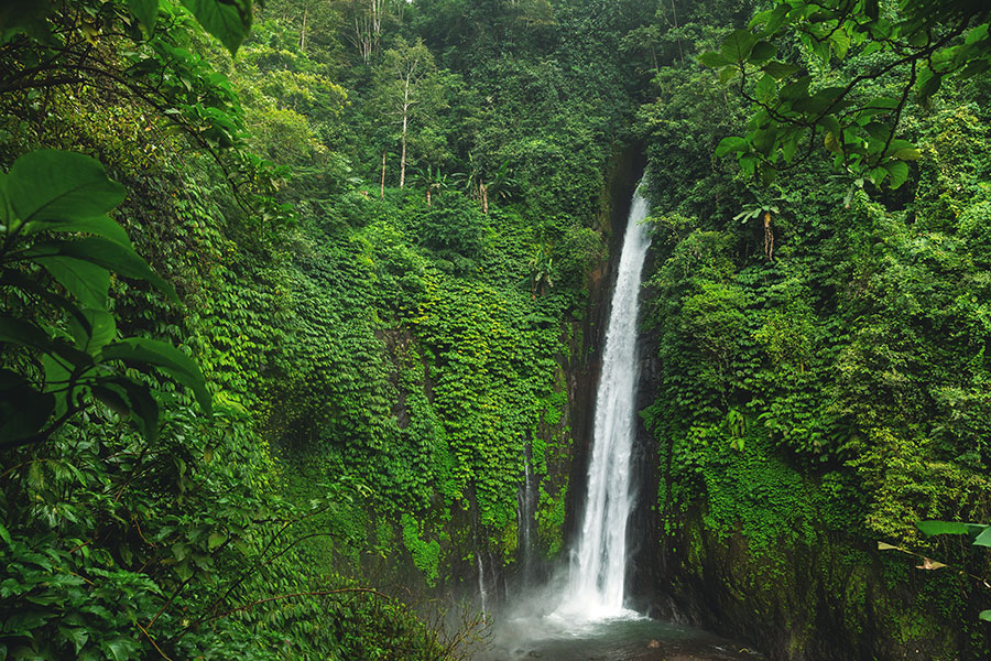 Munduk Waterfall | www.balitouristic.com