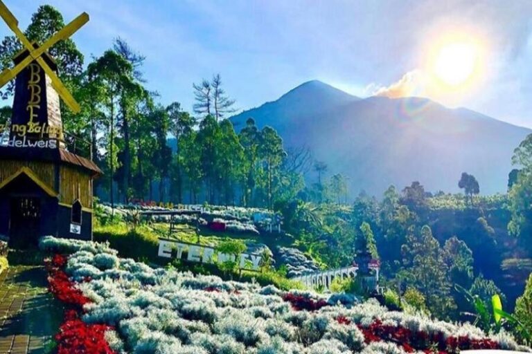 Bali Edelweiss Park in Rendang: Rare Kasna Flower Garden