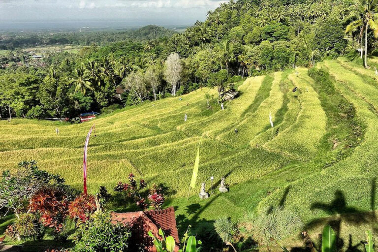 Bukit Jambul Rice Terrace: Scenic Views in East Bali
