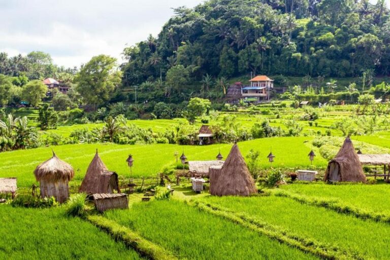 Maha Gangga Valley Bali: Camping & Rice Terrace Views