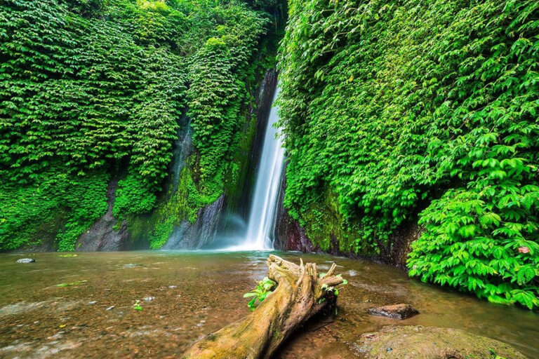 Melanting Waterfall Buleleng: 20m Cascade & Jungle Trek