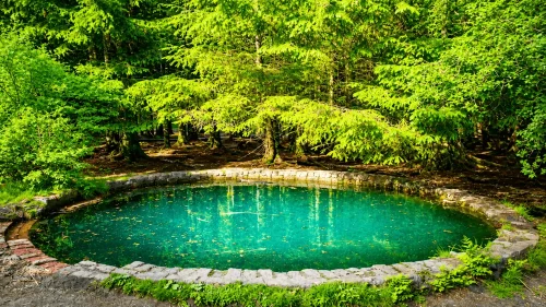 telaga surya - karangasem interesting places to visit - bali touristic A tranquil view of Telaga Surya Natural Pool featuring crystal-clear spring water, lush tropical surroundings, natural rock formations, and a peaceful atmosphere hidden in Bali's countryside.