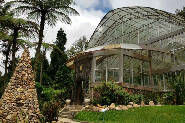 Bali Botanical Garden: Bedugul’s Nature Conservation Hub