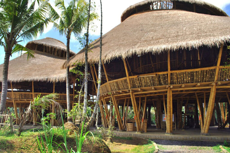 Volunteer Programs in Bali: Best Opportunities Guide