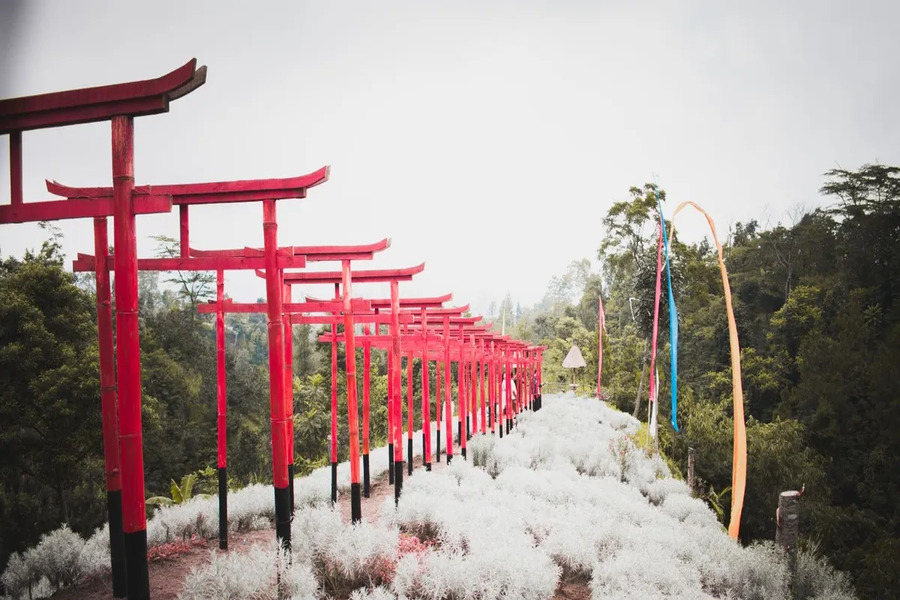 bali jinja park 1 | www.balitouristic.com