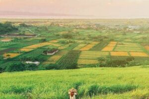 bukit belong 2 1 | www.balitouristic.com