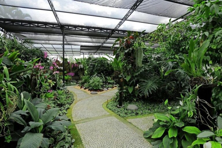 Duta Orchid Garden in Sanur: Bali’s Tropical Paradise