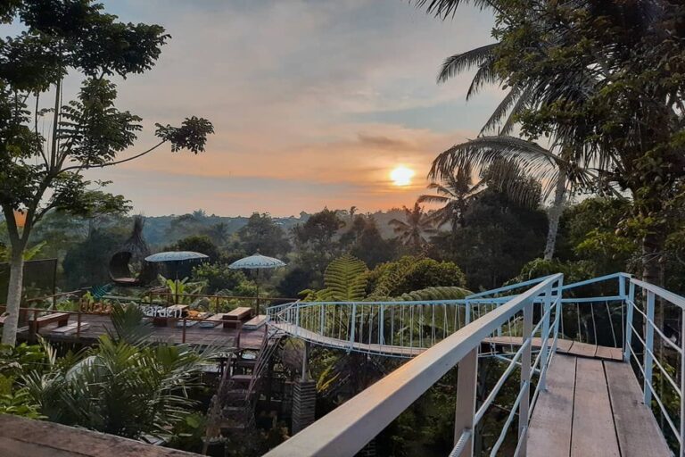 Hidden Garden Coffee: Bali Plantation & Café Experience