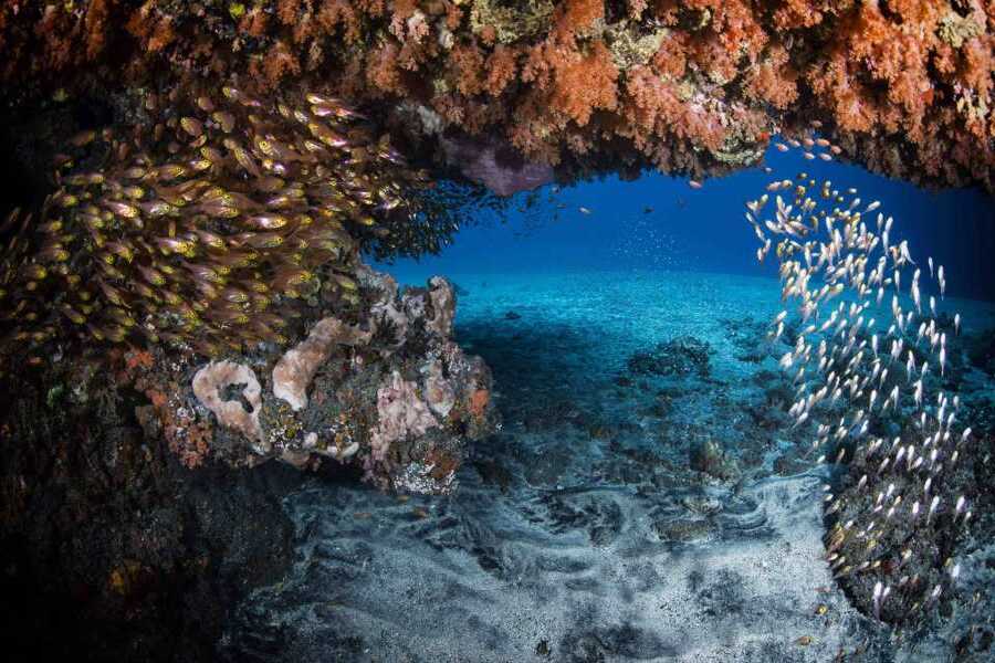 japanese ship wreck point - karangasem interesting places to visit - bali touristic