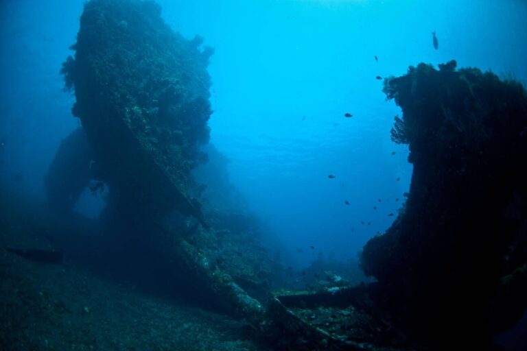 Japanese Shipwreck Amed: WWII Dive Site & Marine Life