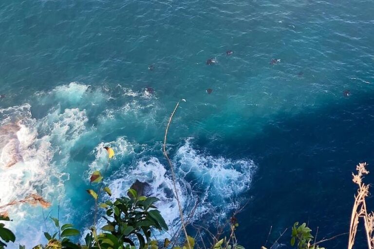Manta Point Nusa Penida (Snorkeling Spot)