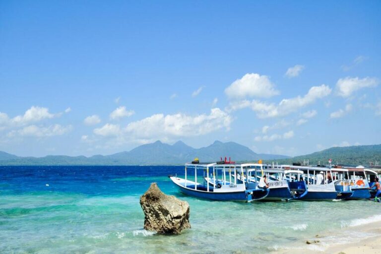 menjangan island 1 1 | www.balitouristic.com