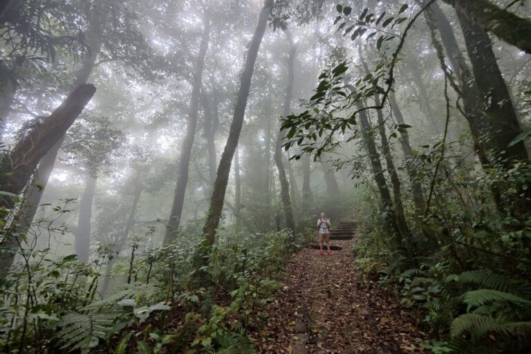 Mount Catur Bali: Hidden Bedugul Trek & Summit Temple