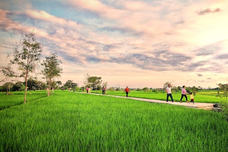 Subak Sembung Ecotourism: Rice Terraces in Denpasar