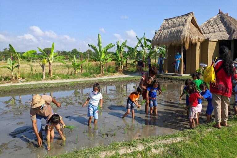 Subak Teba Majalangu: UNESCO Rice Terraces in Bali Guide