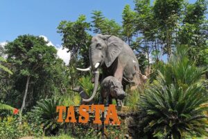 tasta zoo 1 1 | www.balitouristic.com