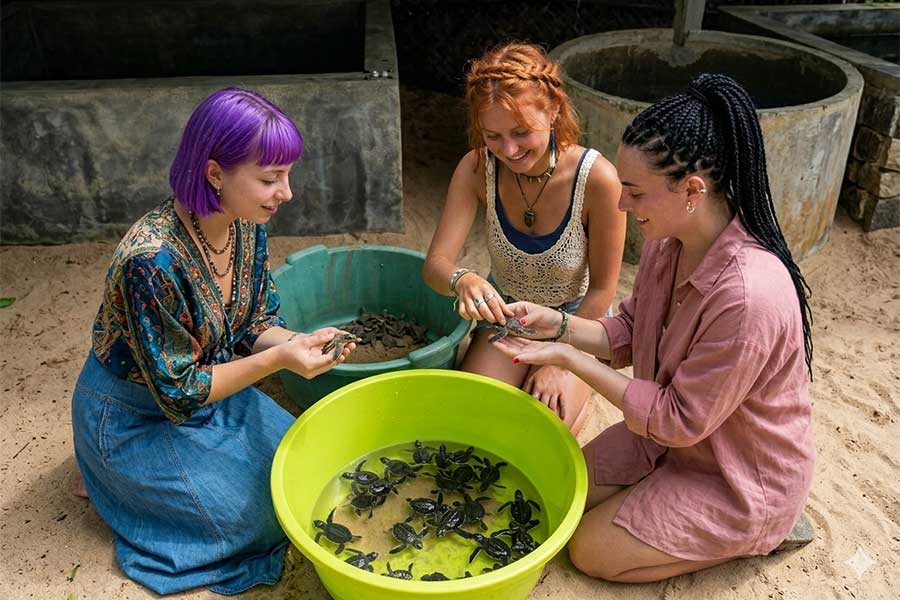 turtles in bali | balitouristic.com