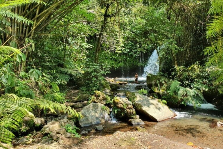 Yeh Hoo Waterfall Tabanan: Hidden Gem & Trek Guide