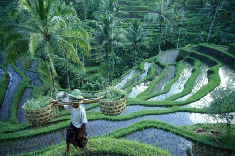 Cultural vs Adventure Tours in Bali: Which to Choose?