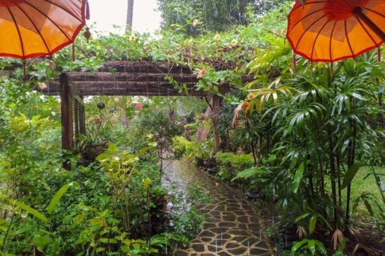 Things to Do in Bali When It Rains: Indoor & Activities