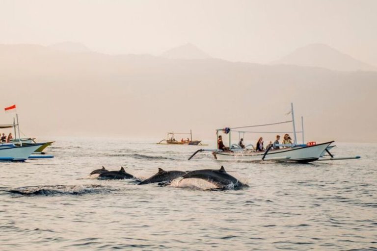 Best Wildlife Tours in Bali: See Dolphins, Birds, and More