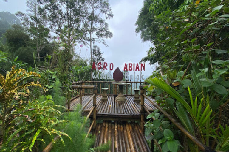 Abian Salak Agrotourism: Coffee & Farm Tour in Karangasem