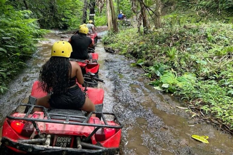 Best Tours in Bali for Nature Lovers and ATV Adventure Fans