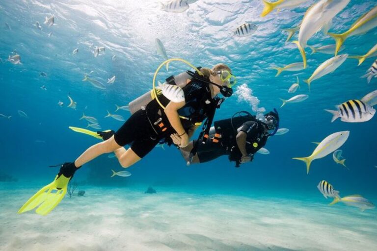 Best Underwater Bali Activity: Snorkeling & Diving Guide