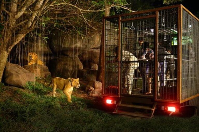 Best Family Activities in Bali: Fun for All Ages Guide