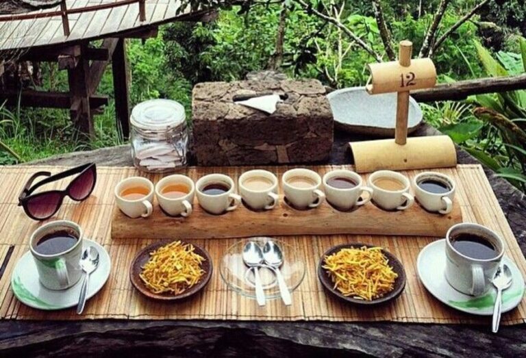 North Bali vs South Bali: Which Region Suits You?