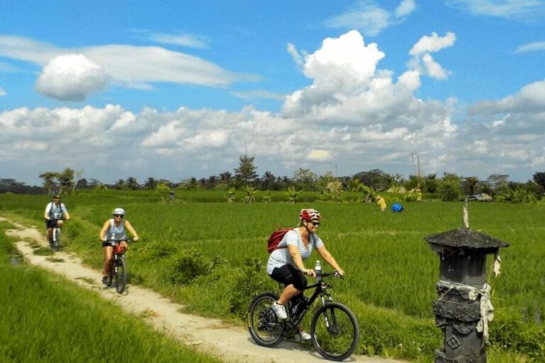 Bali Cycling Tour, Ride Through Rice Fields and Villages