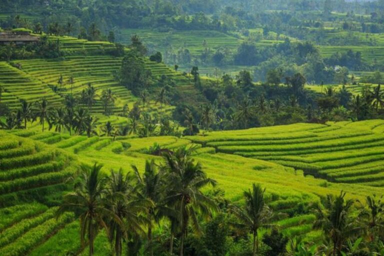 Bali Travel Guide: Complete Tips for First-Time Visitors
