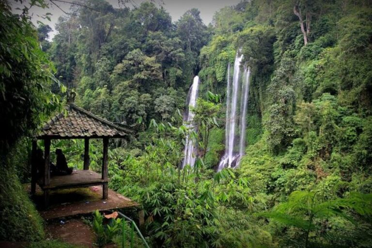 Hidden Bali Interest Places: Secret Waterfalls in the Jungle
