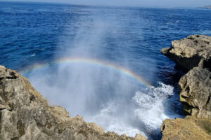 pasih1 | www.balitouristic.com