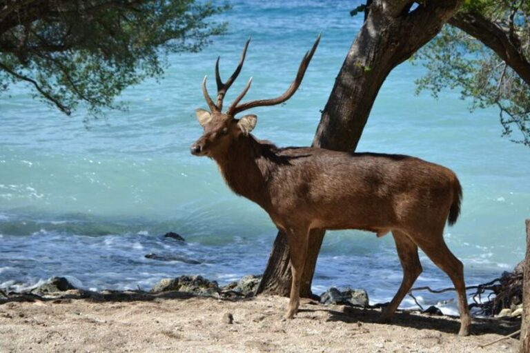 Top 3 Must-Visit Places in Bali: Complete 2024 Guide