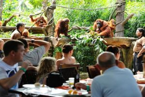 Tourist Attractions 01 | www.balitouristic.com