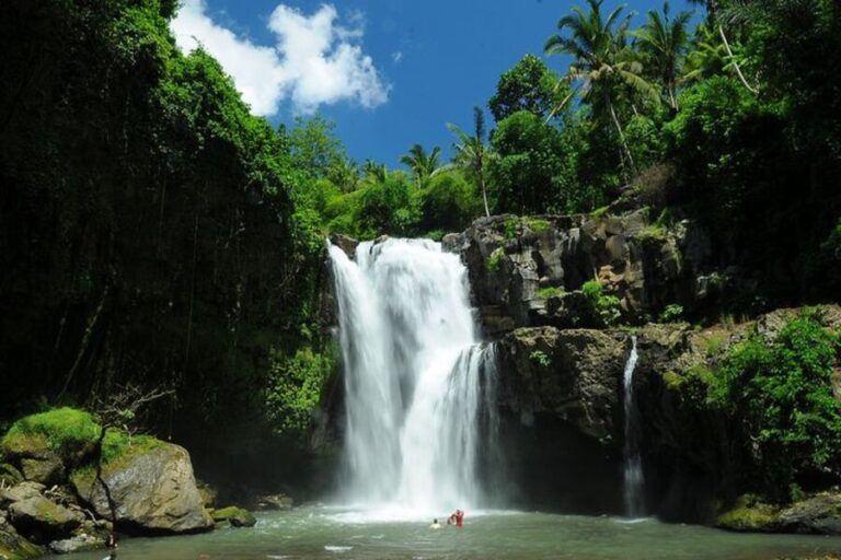 Bali Waterfalls: Best Cascades, Tips & Adventure Guide