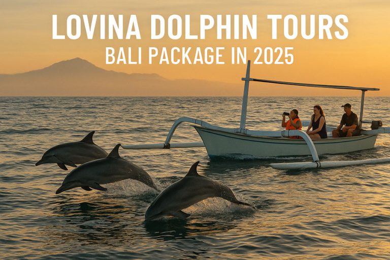 Lovina Dolphin Tours Bali Package in 2025