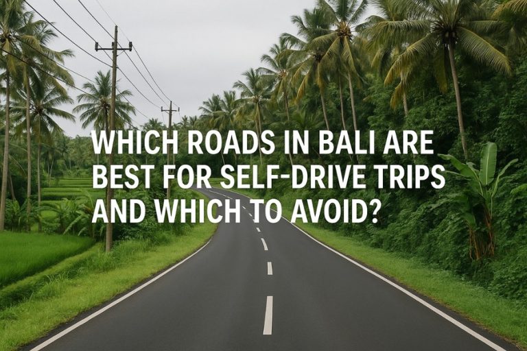 Best Roads in Bali for Self-Drive Trips (+ Which to Avoid)