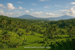 Bali Tour 02 | www.balitouristic.com